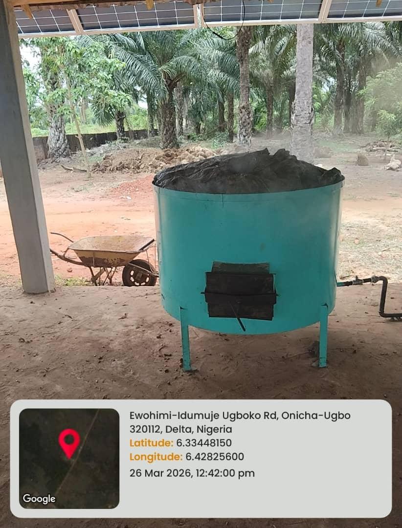 Palm fruit boiler installation