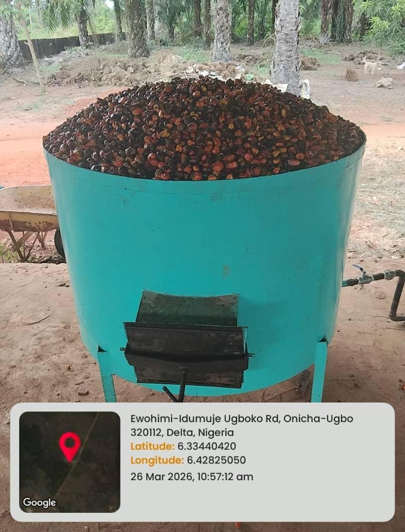 Loaded palm fruit digester